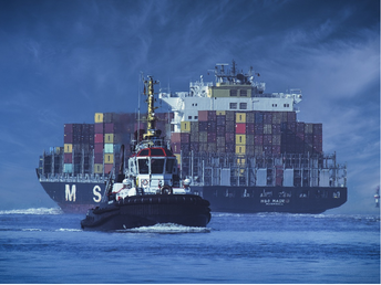 Ocean Freight